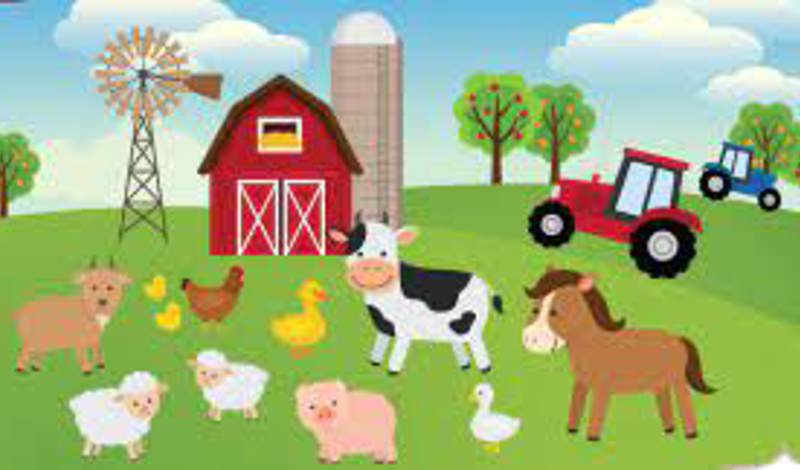 To the farm To the farm